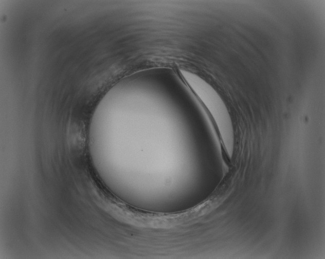 X0000082720040200702091824