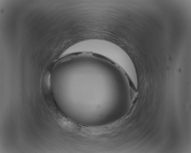 X0000082720041200702091823