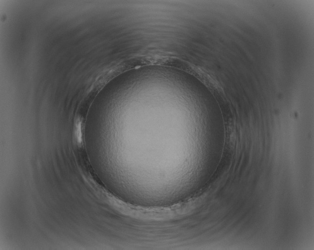 X0000082720042200702091823