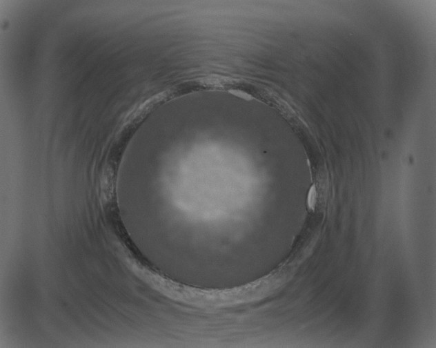 X0000082720043200702091823