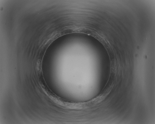 X0000082720044200702091823