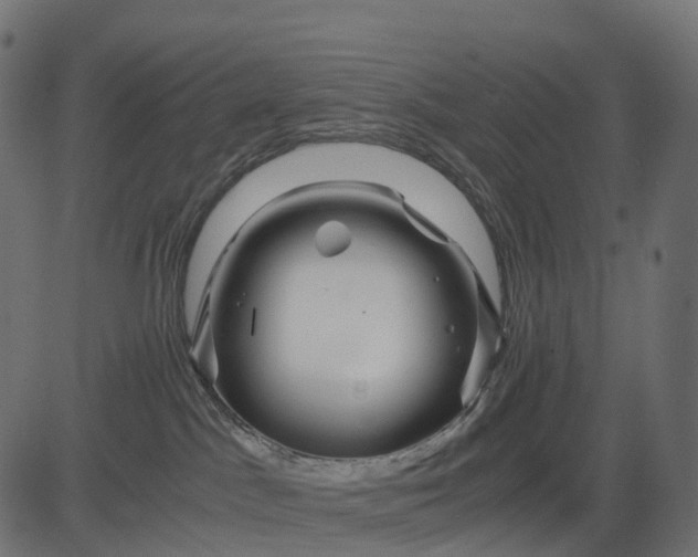 X0000082720045200702091823