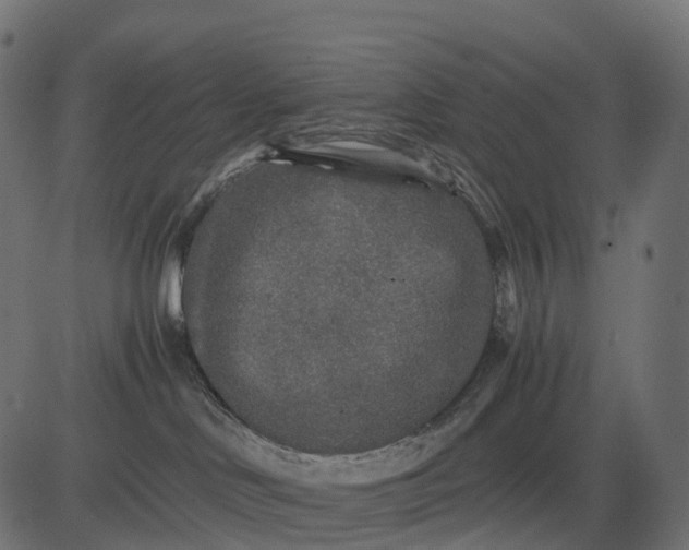 X0000082720046200702091823