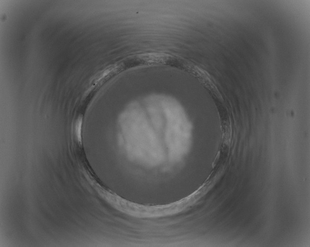 X0000082720047200702091823