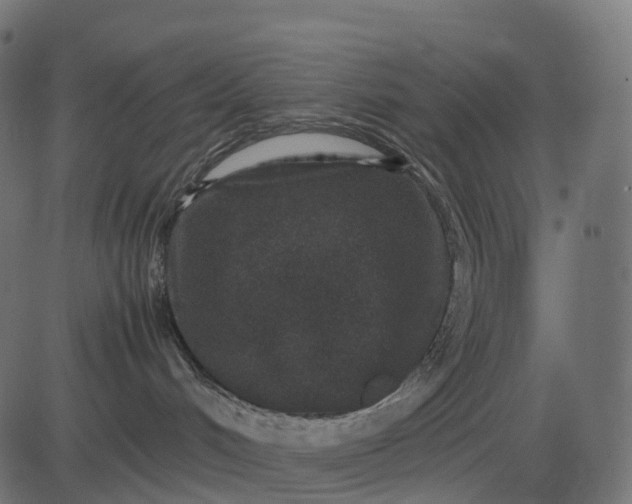 X0000082720048200702091823