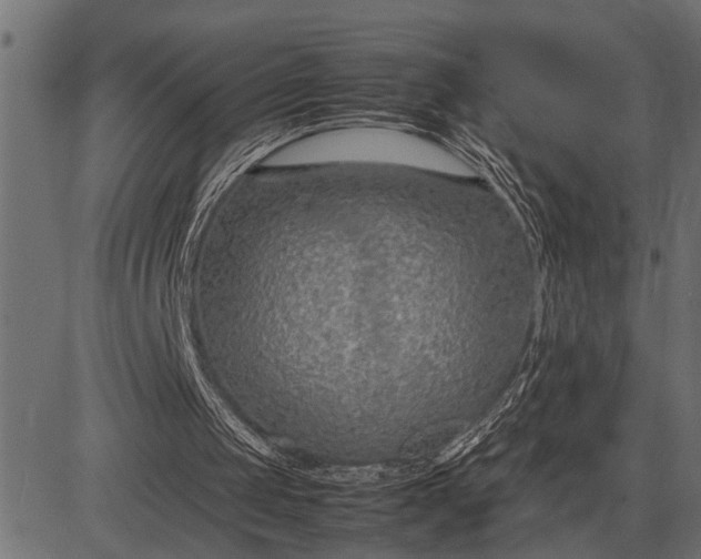 X0000082720049200702091823