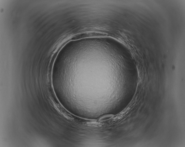 X0000082720050200702091823