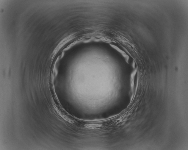 X0000082720051200702091823