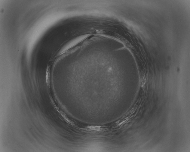 X0000082720052200702091823