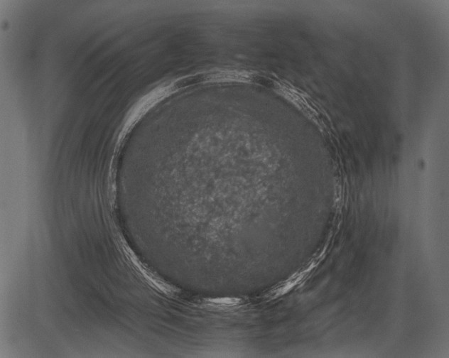 X0000082720053200702091823