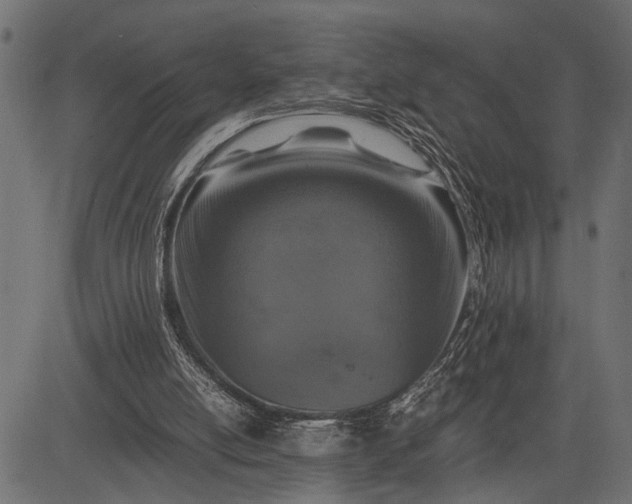 X0000082720054200702091823