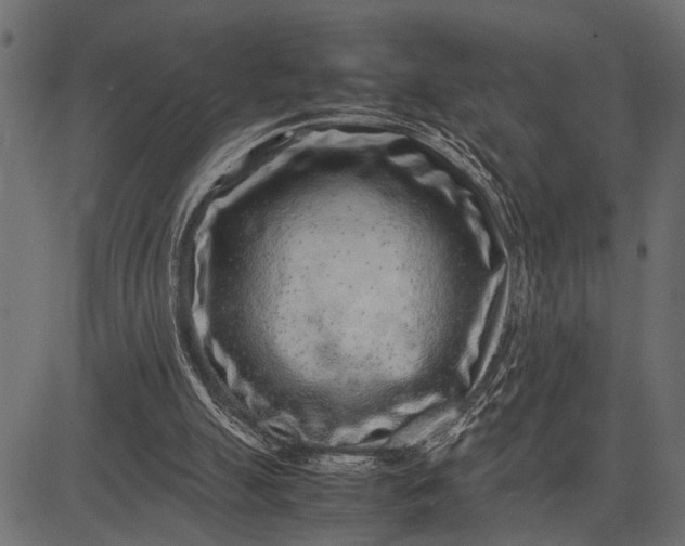 X0000082720055200702091823