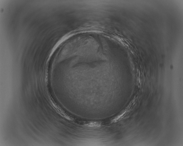 X0000082720056200702091823