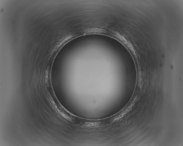 X0000082720057200702091823