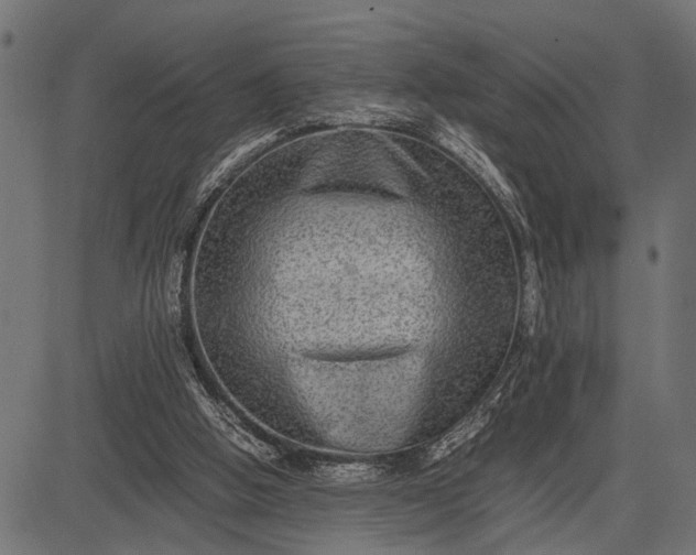 X0000082720058200702091823