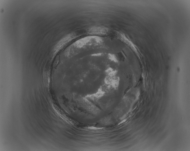 X0000082720059200702091823