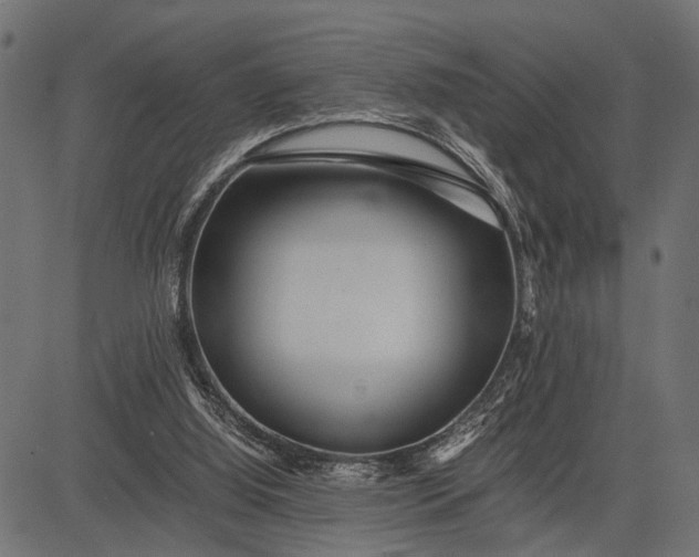 X0000082720060200702091823