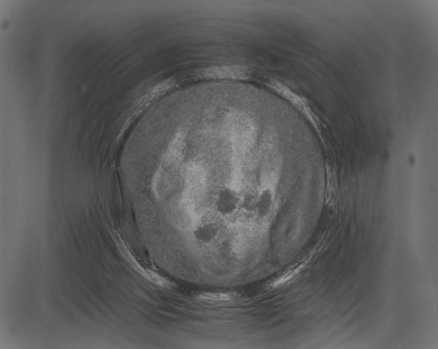 X0000082720061200702091823