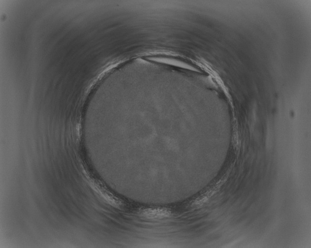 X0000082720063200702091823