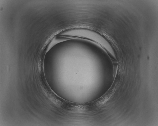 X0000082720064200702091823