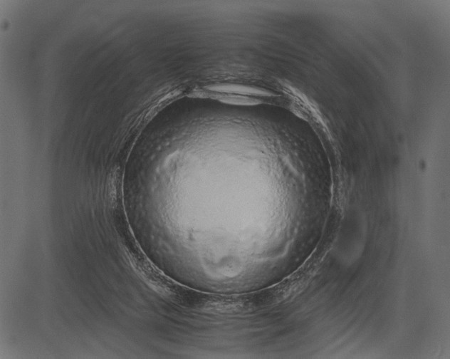 X0000082720065200702091823