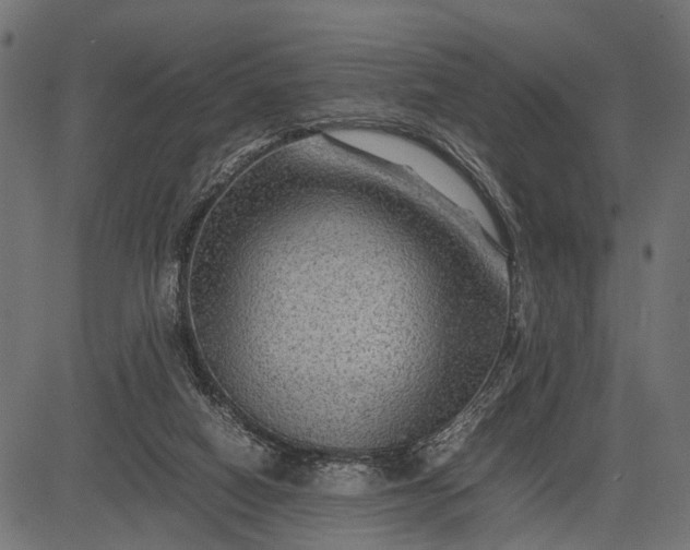 X0000082720066200702091823