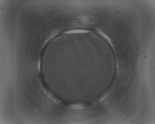 X0000082720067200702091823