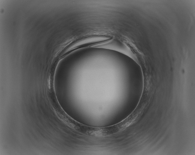 X0000082720068200702091823