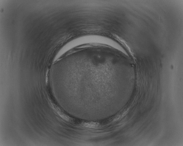 X0000082720069200702091823