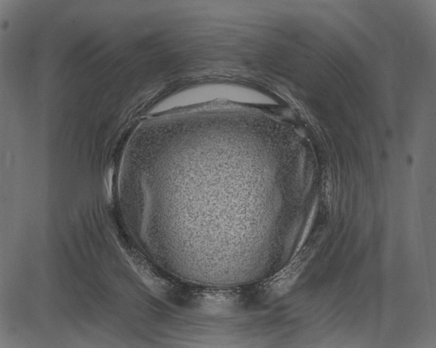 X0000082720070200702091823