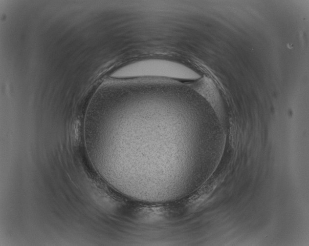 X0000082720071200702091823