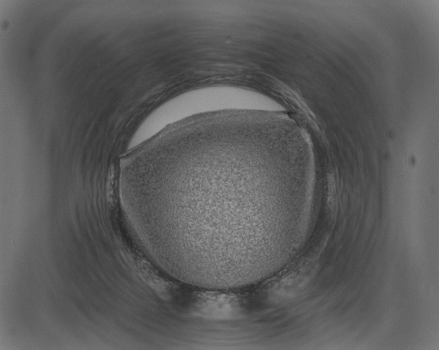 X0000082720073200702091823