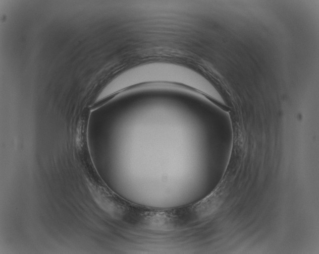 X0000082720074200702091823