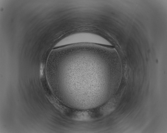 X0000082720075200702091823