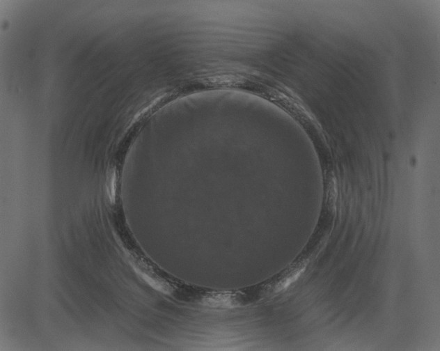 X0000082720076200702091823