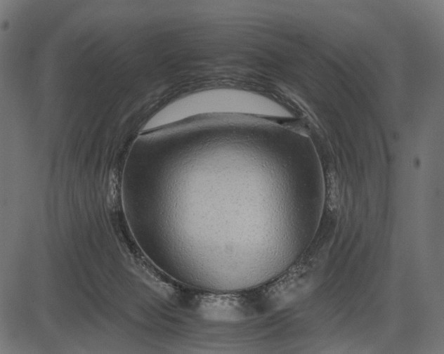 X0000082720077200702091823