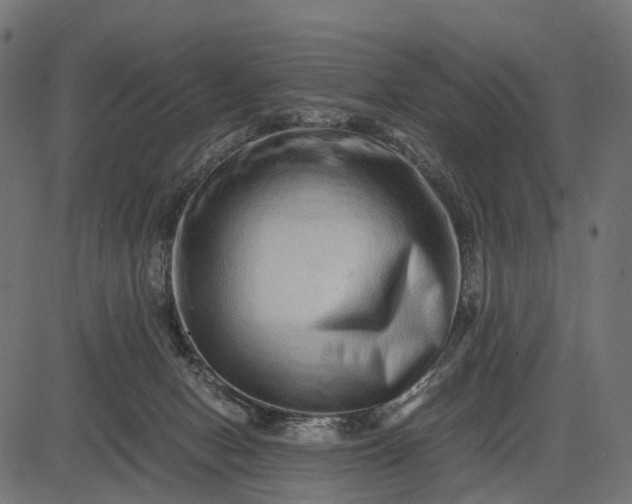 X0000082720078200702091823