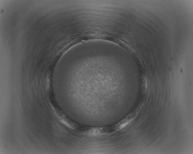 X0000082720080200702091823