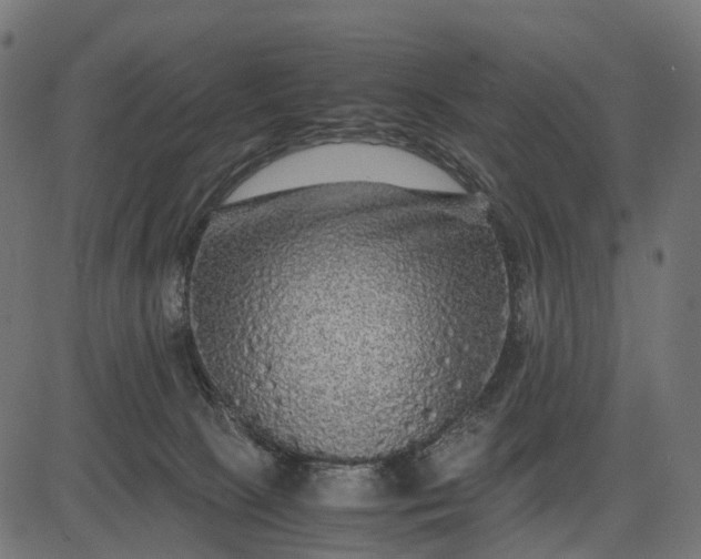 X0000082720081200702091823