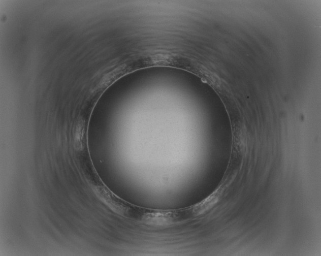 X0000082720082200702091823