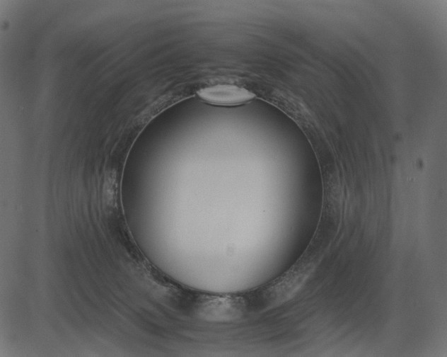 X0000082720083200702091823