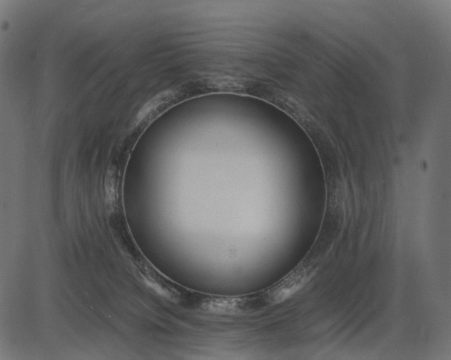 X0000082720084200702091823