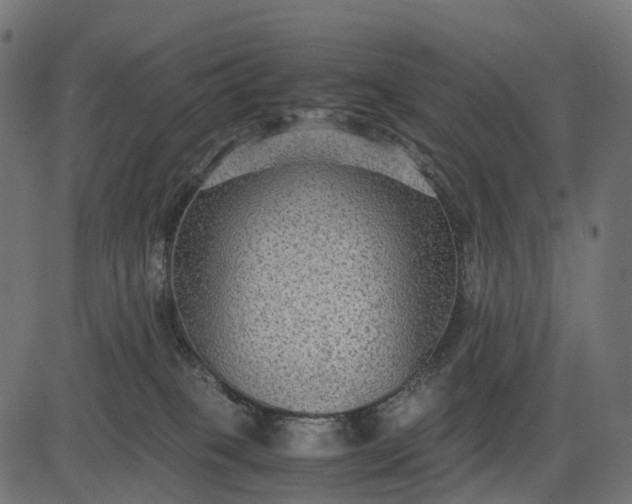 X0000082720085200702091823