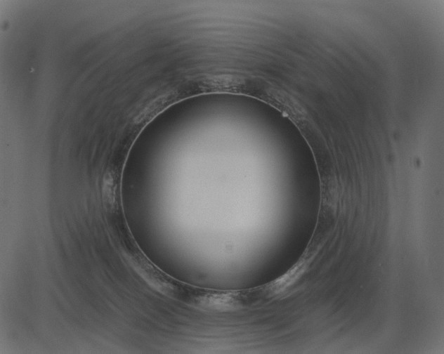 X0000082720086200702091823