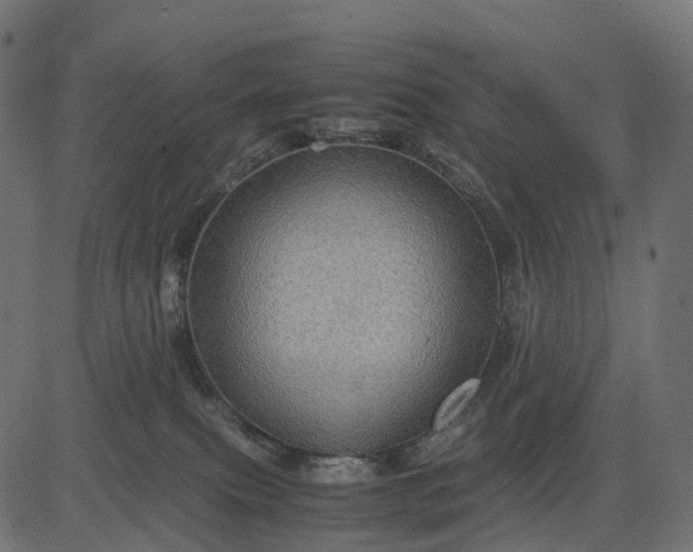 X0000082720087200702091823