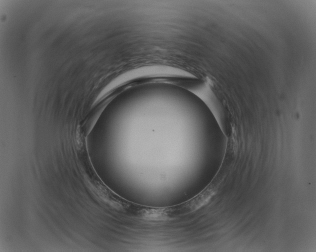 X0000082720088200702091823