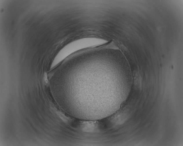 X0000082720089200702091823