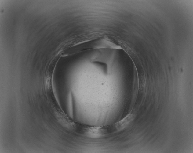 X0000082720090200702091823