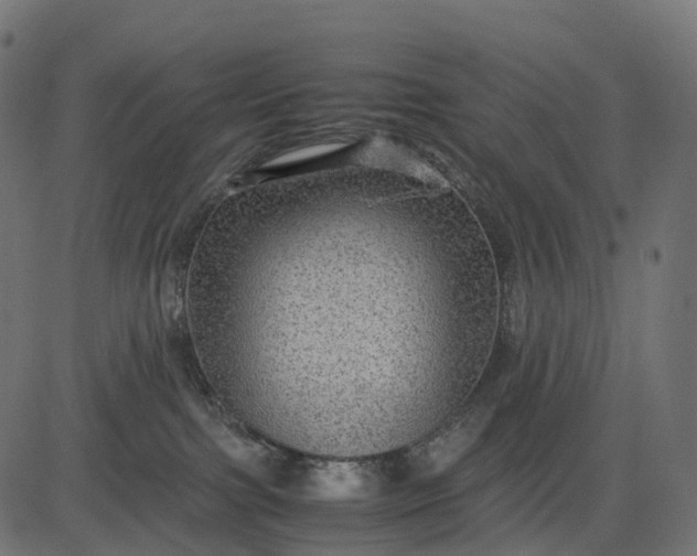 X0000082720091200702091823