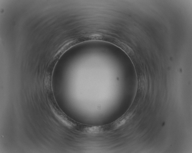 X0000082720092200702091823